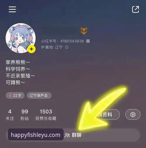 深度揭秘：乐鱼官方网站安全吗安装失败？新手必读的避坑指南