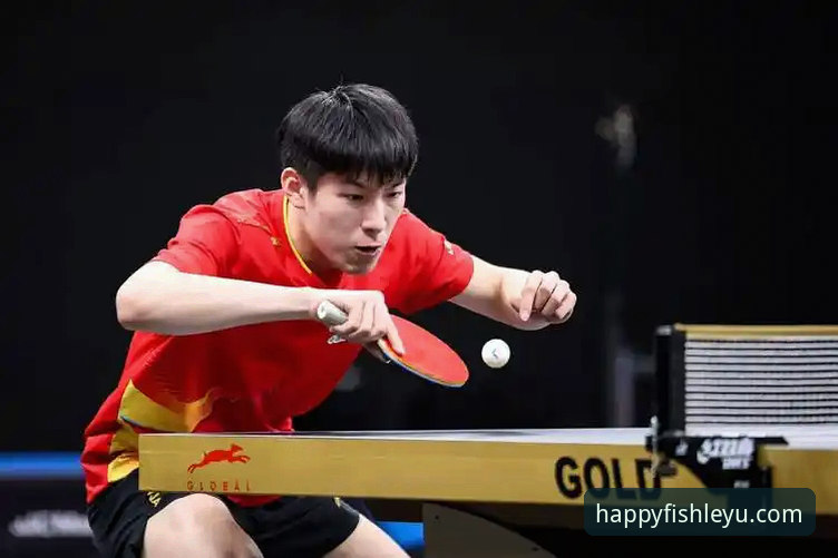 从乐鱼体育平台见证国乒新星崛起：一次关于未来趋势的深度观察